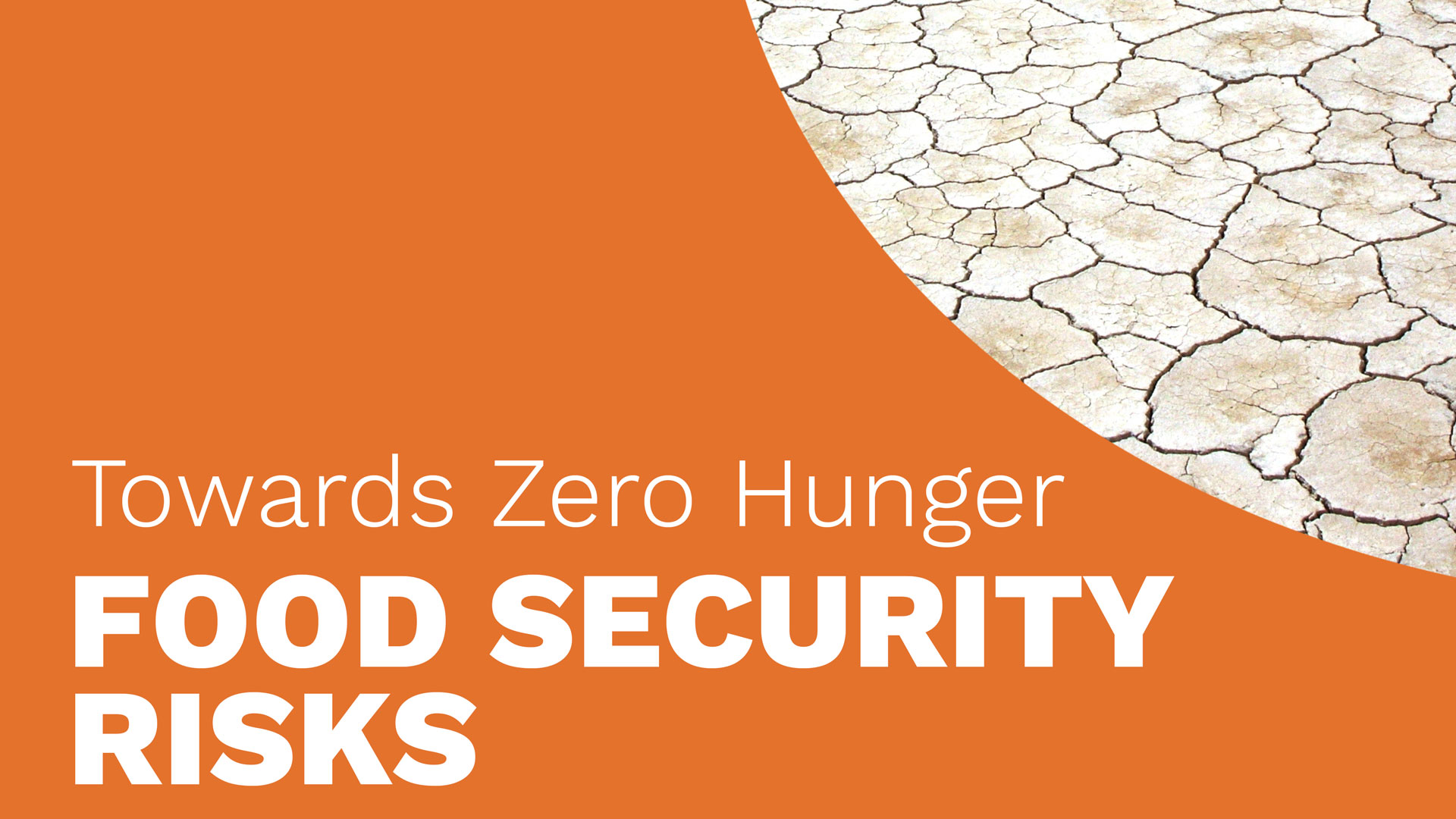 Food Security Risks